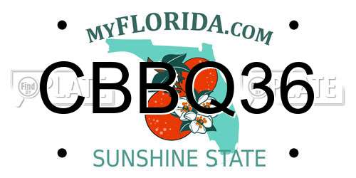 CBBQ36 Florida License Plate