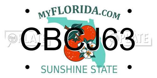 CBCJ63 Florida License Plate
