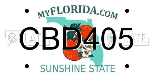 CBD405 Florida License Plate