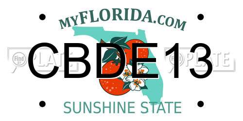 CBDE13 Florida License Plate