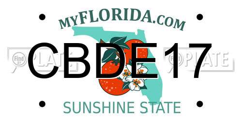 CBDE17 Florida License Plate