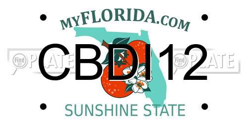 CBDI12 Florida License Plate