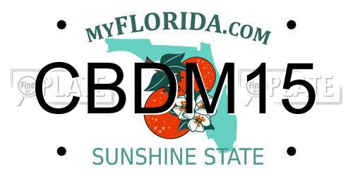 CBDM15 Florida License Plate