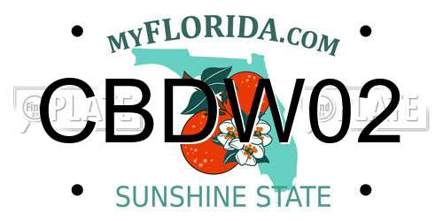CBDW02 Florida License Plate