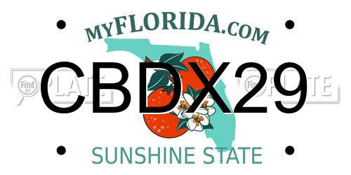 CBDX29 Florida License Plate