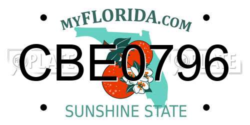 CBE0796 Florida License Plate