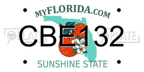 CBE132 Florida License Plate