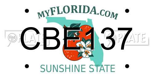 CBE137 Florida License Plate