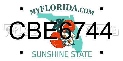 CBE6744 Florida License Plate