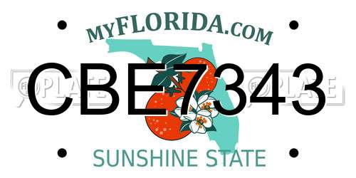 CBE7343 Florida License Plate