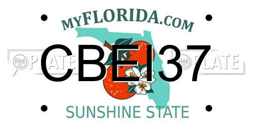 CBEI37 Florida License Plate