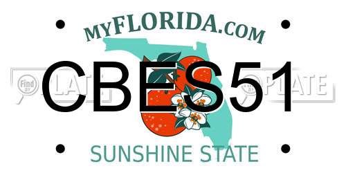 CBES51 Florida License Plate
