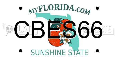CBES66 Florida License Plate
