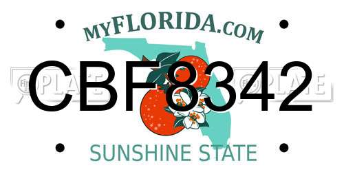 CBF8342 Florida License Plate