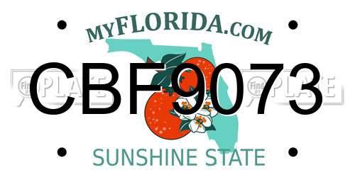 CBF9073 Florida License Plate