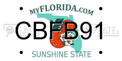 CBFB91 Florida License Plate
