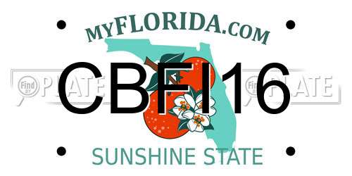 CBFI16 Florida License Plate