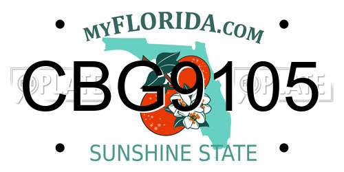 CBG9105 Florida License Plate