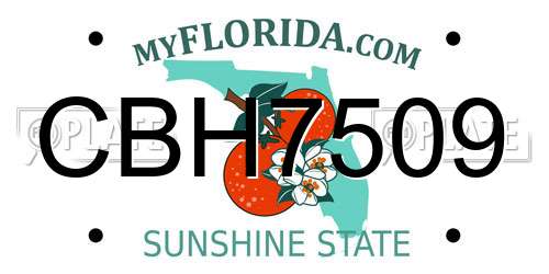 CBH7509 Florida License Plate