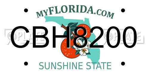 CBH8200 Florida License Plate