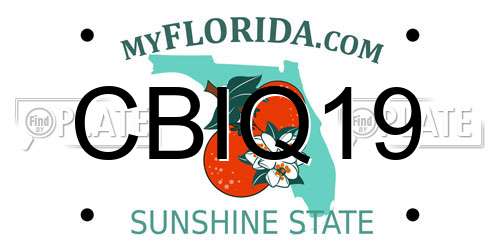 CBIQ19 Florida License Plate