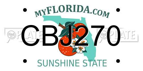 CBJ270 Florida License Plate