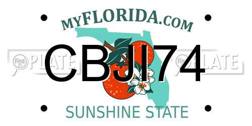 CBJI74 Florida License Plate