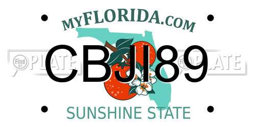 CBJI89 Florida License Plate