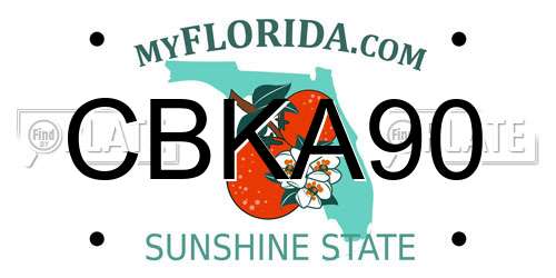 CBKA90 Florida License Plate