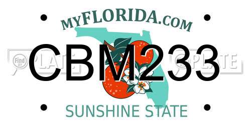 CBM233 Florida License Plate