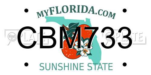 CBM733 Florida License Plate