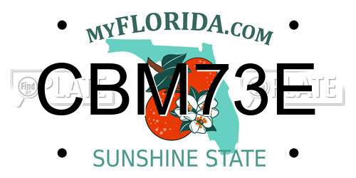 CBM73E Florida License Plate