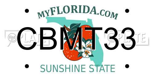 CBMT33 Florida License Plate