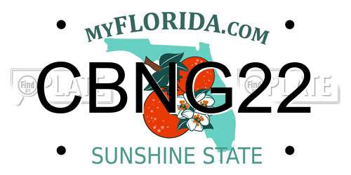 CBNG22 Florida License Plate