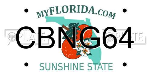 CBNG64 Florida License Plate