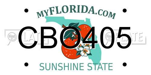 CBO405 Florida License Plate
