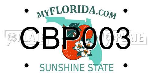 CBP003 Florida License Plate