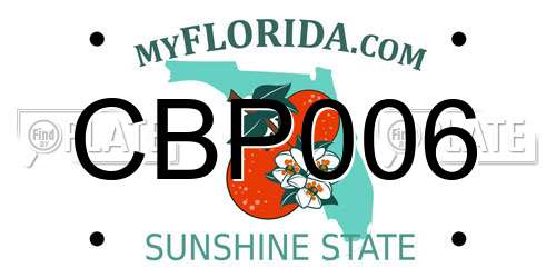 CBP006 Florida License Plate