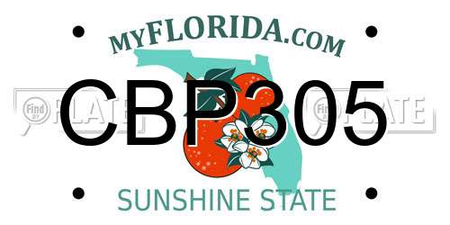 CBP305 Florida License Plate