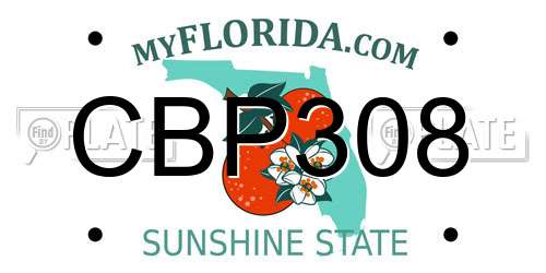 CBP308 Florida License Plate