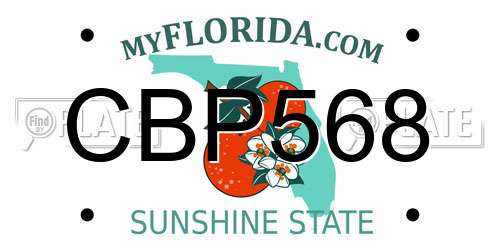 CBP568 Florida License Plate