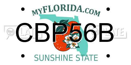 CBP56B Florida License Plate