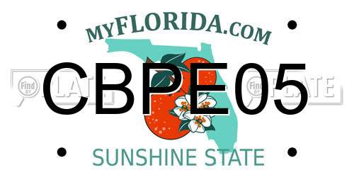 CBPE05 Florida License Plate