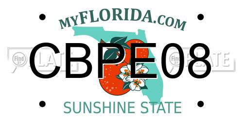 CBPE08 Florida License Plate