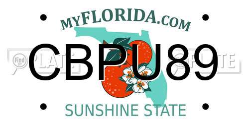 CBPU89 Florida License Plate
