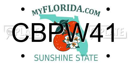 CBPW41 Florida License Plate