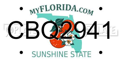 CBQ2941 Florida License Plate