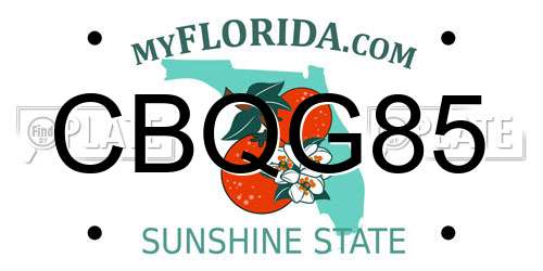 CBQG85 Florida License Plate