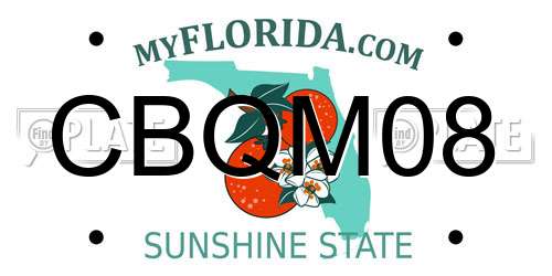CBQM08 Florida License Plate
