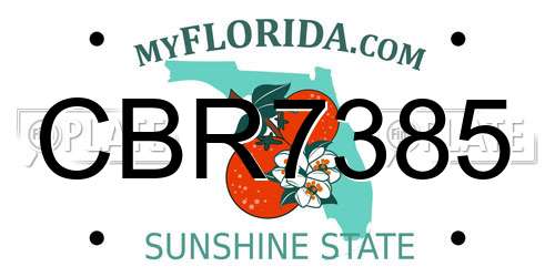 CBR7385 Florida License Plate